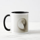 Search for nautilus mugs Sealife
