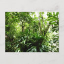 Recherche de plantes tropicaux de forêt tropicale cartes postales Vert