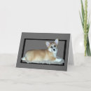 Search for pembroke cards Dog