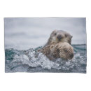 Search for otter pillowcases Animal wildlife