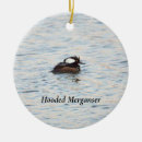 Search for merganser duck Animals
