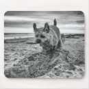 Search for bordered image mousepads Pet