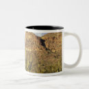 Search for pipe organs mugs Usa