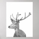 Search for black deer posters Animals
