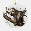 Search for opossum ornaments Vintage