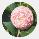 Search for alabama stickers Bloom