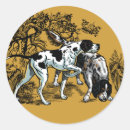 Search for pointer dog stickers Pet