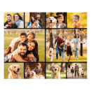 Search for pet memorial posters Photo collage template
