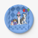Search for border collie plates Puppies