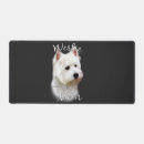 Recherche de west highland white terrier Mignon