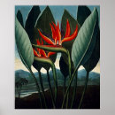 Search for bird of paradise art Vintage