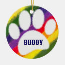 Search for pet name ornaments Colourful
