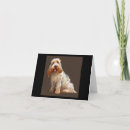 Search for griffon dog breed Basset