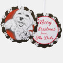 Search for yorkie poo ornaments Dog