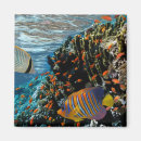 Recherche de poisson rouge magnets Poissons