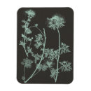 Recherche de étude magnets Fleurs