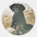 Search for labrador duck stickers Dog