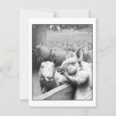 Recherche de le cri cartes postales Animal