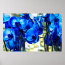 Search for blue orchid art Orchids