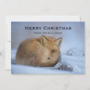 Search for curling christmas cards Winter