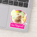 Search for adorable mouse stickers Funny