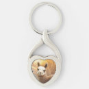 Search for cute llama alpaca keychains Adorable