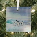 Search for penguin ornaments Ice