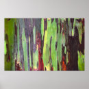 Search for eucalyptus tree posters Hawaii