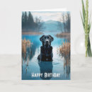 Search for black labrador retriever birthday cards Water