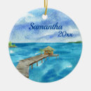 Search for seascape ornaments water