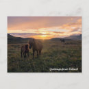 Recherche de chevaux de noël cartes postales Nature