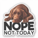 Search for chocolate kiss stickers Dog