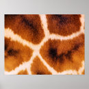 Search for giraffe patterns posters Wild