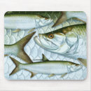 Recherche de atlantique tapis souris Nature