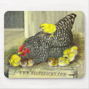 Search for hen mousepads Poultry