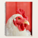 Recherche de coq bureau fournitures Grange
