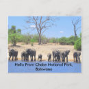 Recherche de chobe cartes postales Afrique