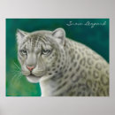 Search for snow leopard posters Wildlife