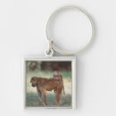 Search for baboons keychains Nature