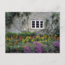 Search for stone house postcards Flower