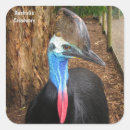 Search for avian stickers Nature