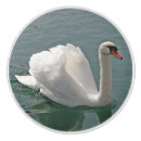 Recherche de oiseaux mignons boutons et poignées de porte Animaux