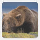 Search for take naps stickers Sleeping