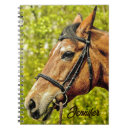 Search for horse pictures notebooks Animal