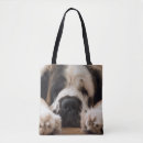 Recherche de chien de bernard sacs Mignon