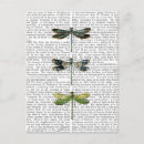 Recherche de libellule cartes postales Antique