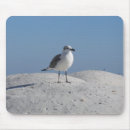 Recherche de bird tapis souris Plage