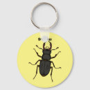 Search for stags keychains Insect