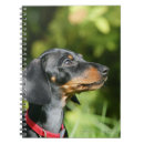 Recherche de bronzage carnets Chiot