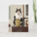 Recherche de neko vœux cartes Drôle